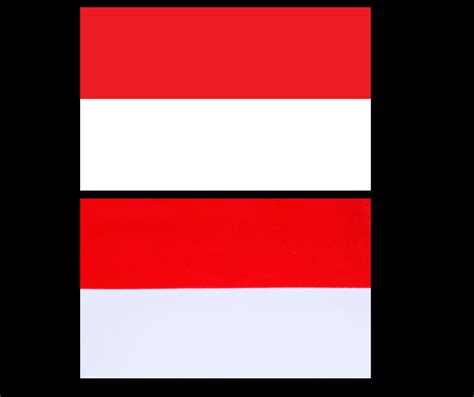 flag similar to indonesia